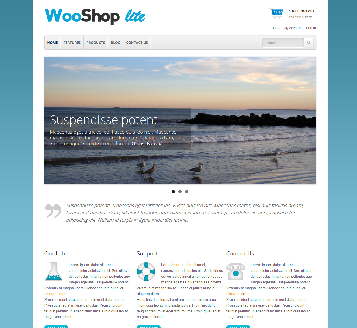 wooshop lite theme website